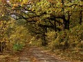 04 Wielkopolski Park Narodowy