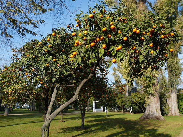 083 Park Marii Luizy.jpg
