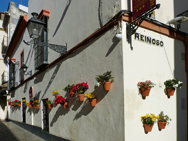 161.jpg