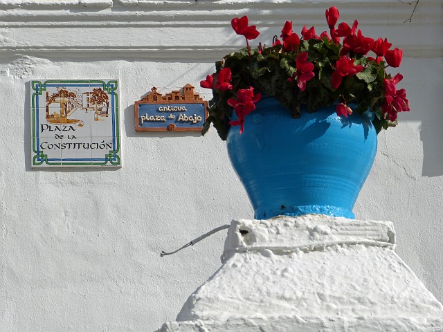 186.jpg