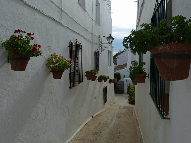 197.jpg