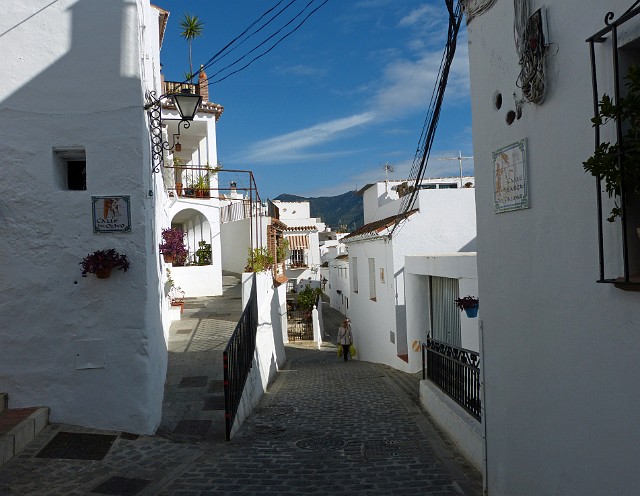 209.jpg