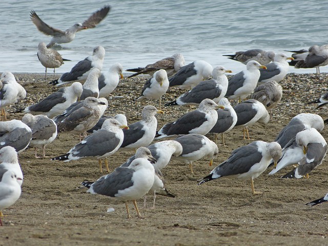 314.jpg
