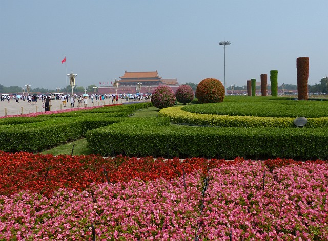 161.jpg