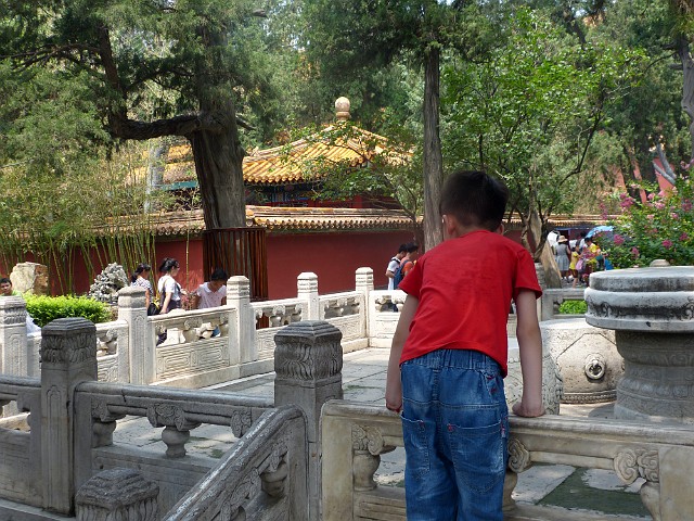 185.jpg