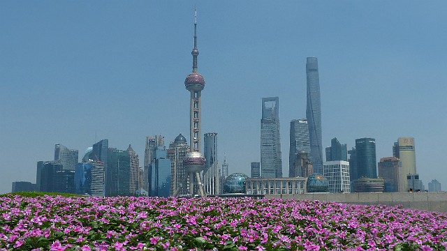 554.jpg
