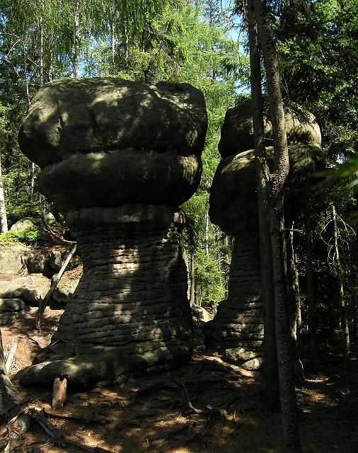 042 Skalne Grzyby.jpg