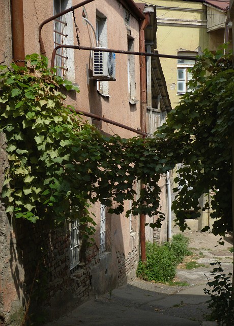 372.jpg