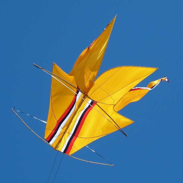 140.jpg