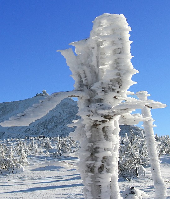 056 Widok na Śnieżkę.jpg