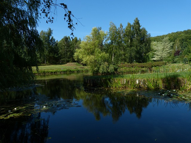 06.JPG