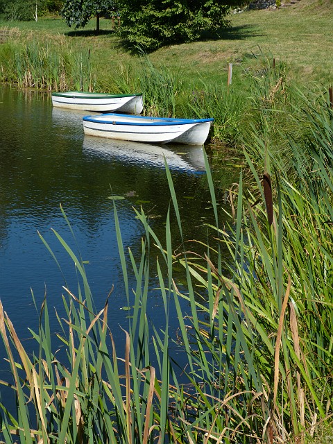 07.JPG