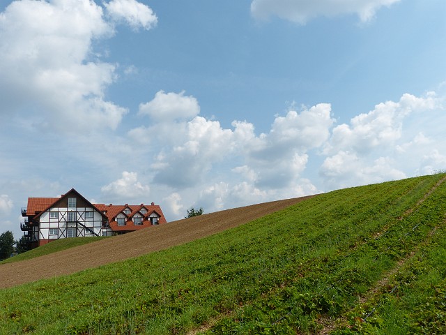 57.JPG