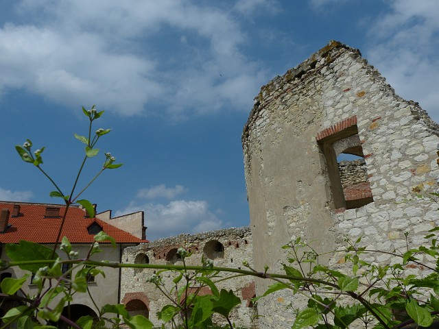 111.JPG