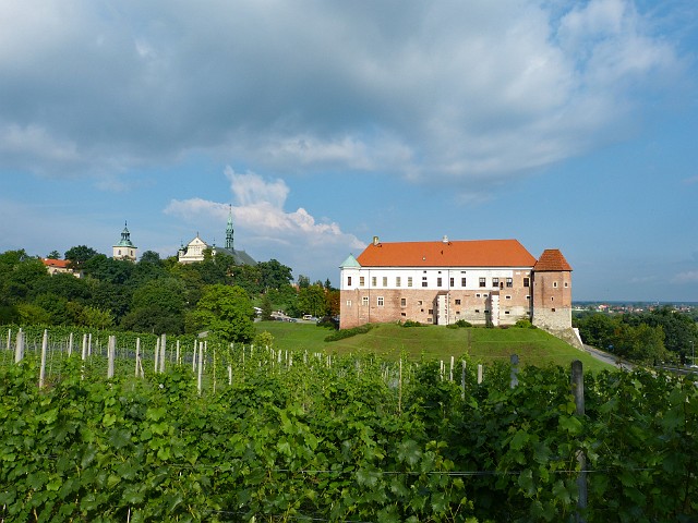 178 Winnica i zamek.jpg