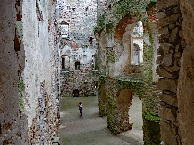 230.jpg