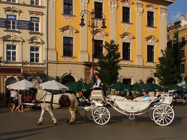 024 Dorożka na Rynku Głównym.jpg