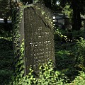 192 Nowy Cmentarz Żydowski