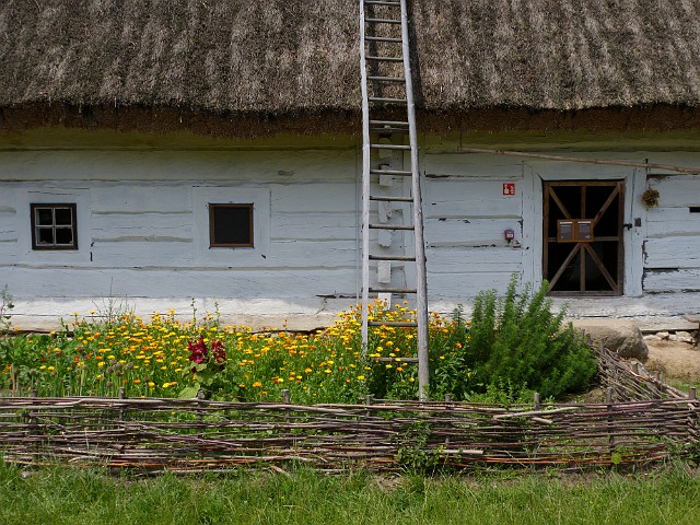 207.JPG