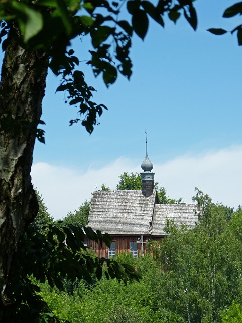224.jpg