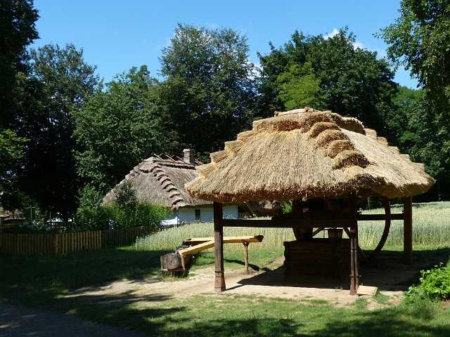 253.jpg