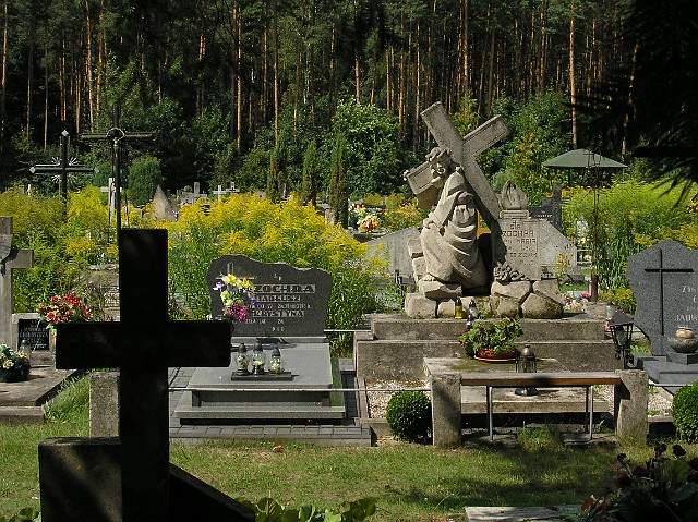 143.jpg