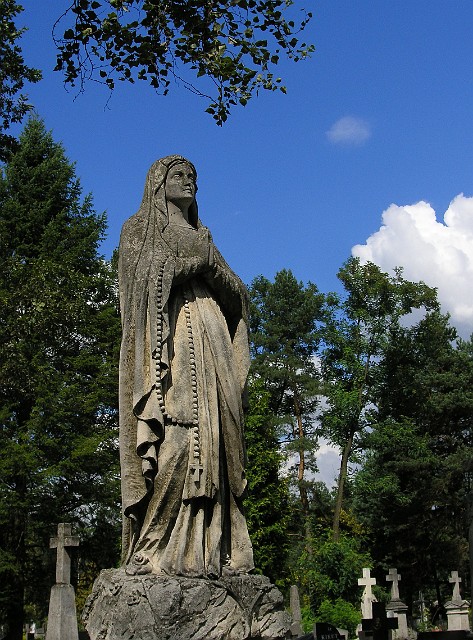144.jpg