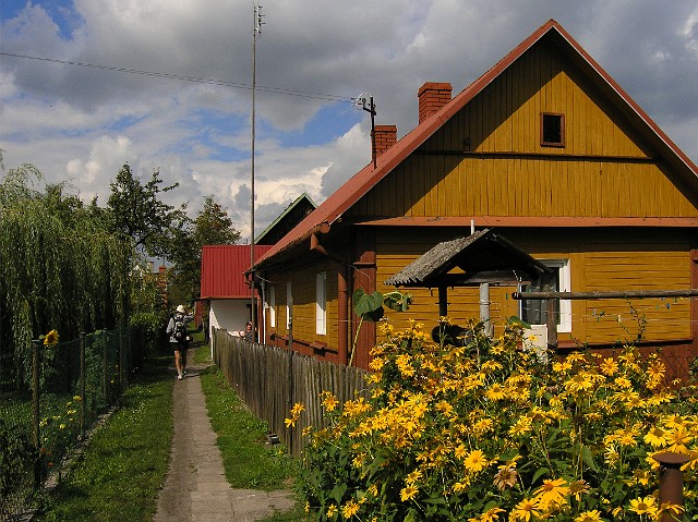 146Ul. Wąska.jpg - 146 Borek to kompleks 71 drewnianych domów, które wybudowane zostały na przełomie lat 20. i 30. XX wieku, kiedy Ordynacja Zamojska przekazała ten teren chłopom za zrzeczenie się praw do serwitutów czyli praw do korzystania z pańskich lasów