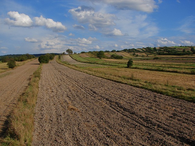 148.jpg