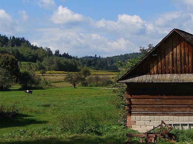167.jpg