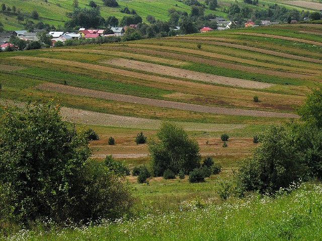 176.jpg