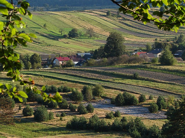 179 Ostatni widok z Bukowej Góry.jpg