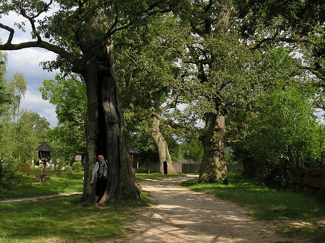 184.jpg