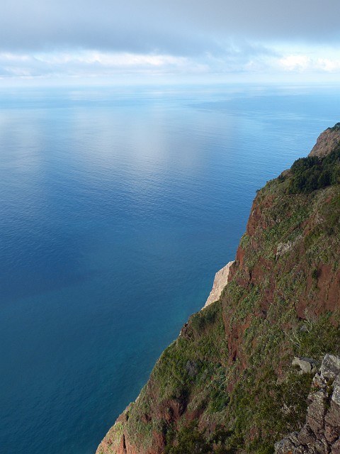 295 .jpg
