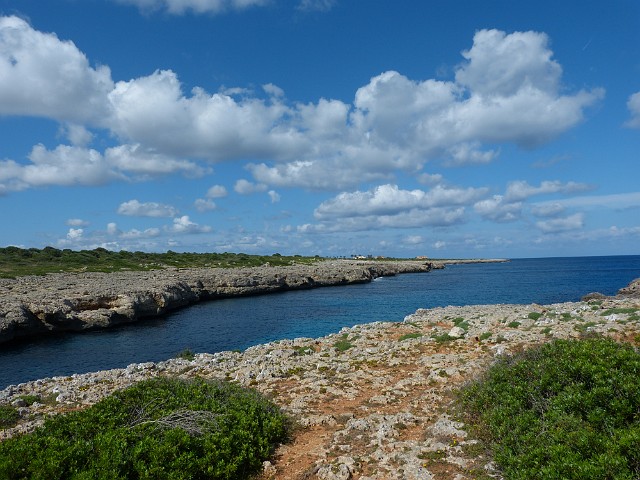 134.JPG