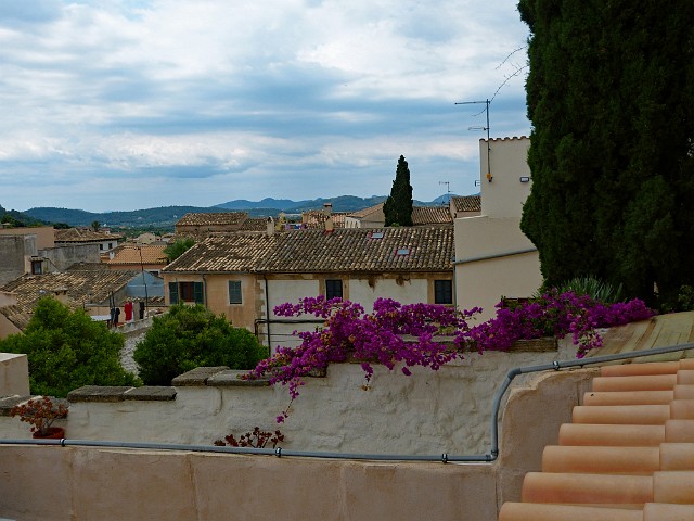146.jpg