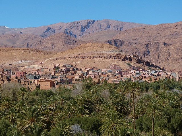 173.jpg