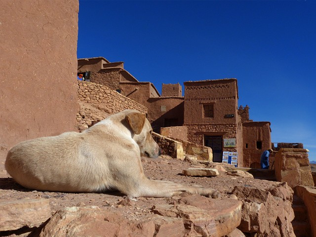 194.jpg