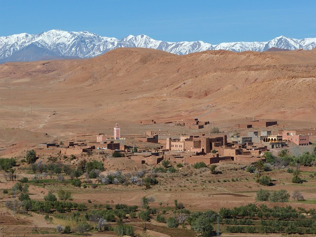 204.jpg