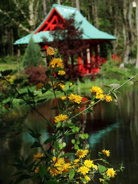 08.JPG