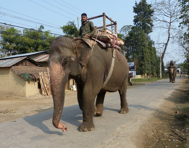 080.jpg - 080 Wioska w Chitwan.