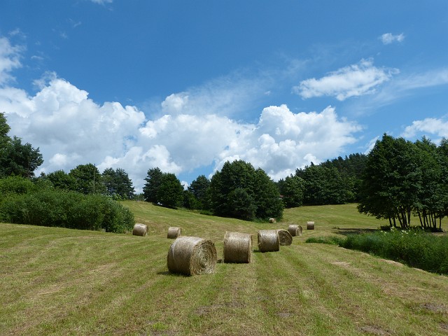 135.JPG