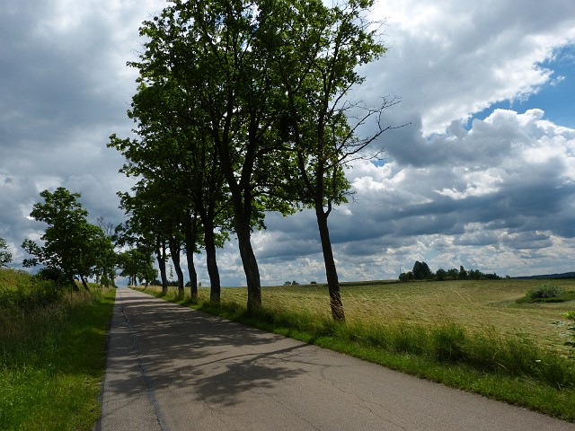 139.jpg
