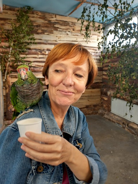 155.jpg