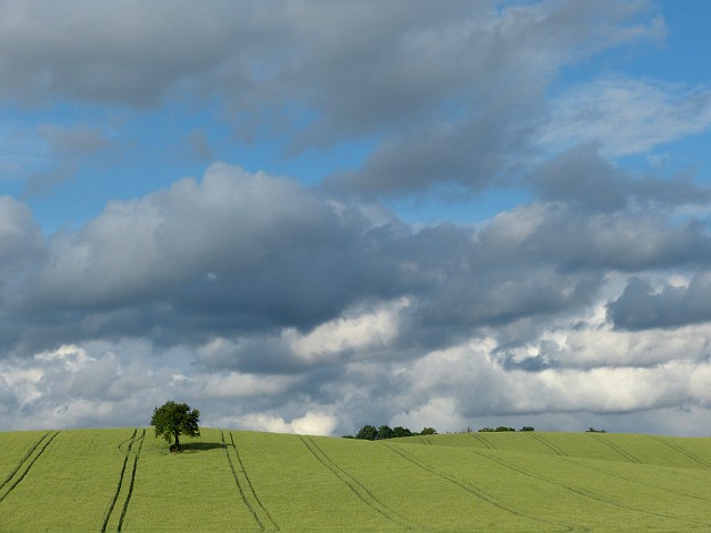 170.jpg