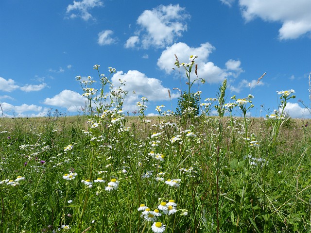 186.JPG