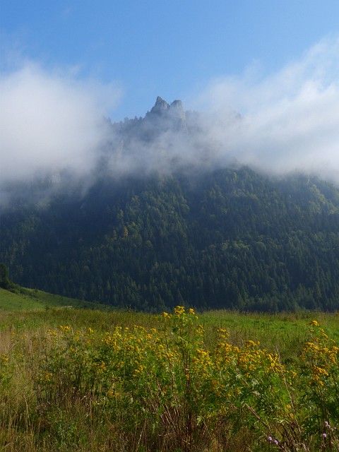 06.jpg