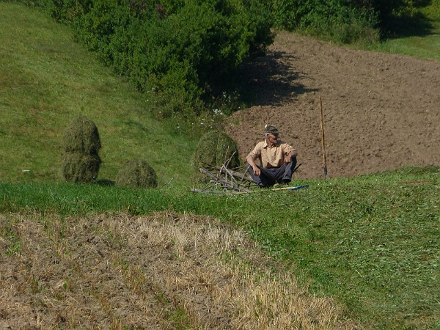 43.jpg