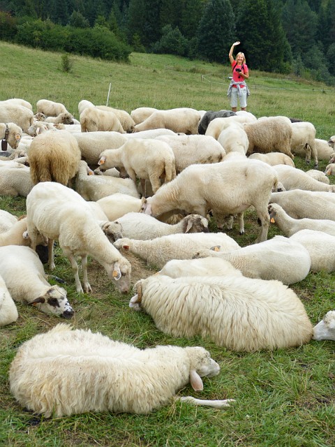 59.jpg