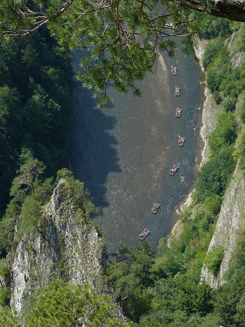 79.jpg